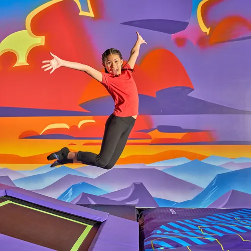 Altitude Trampoline Park Phoenix